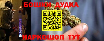 сатива Можга