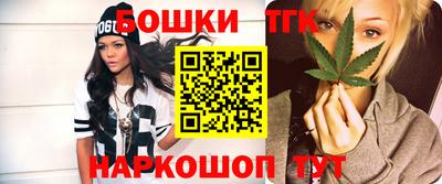 сатива Можга