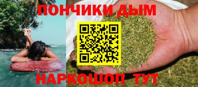 сатива Можга