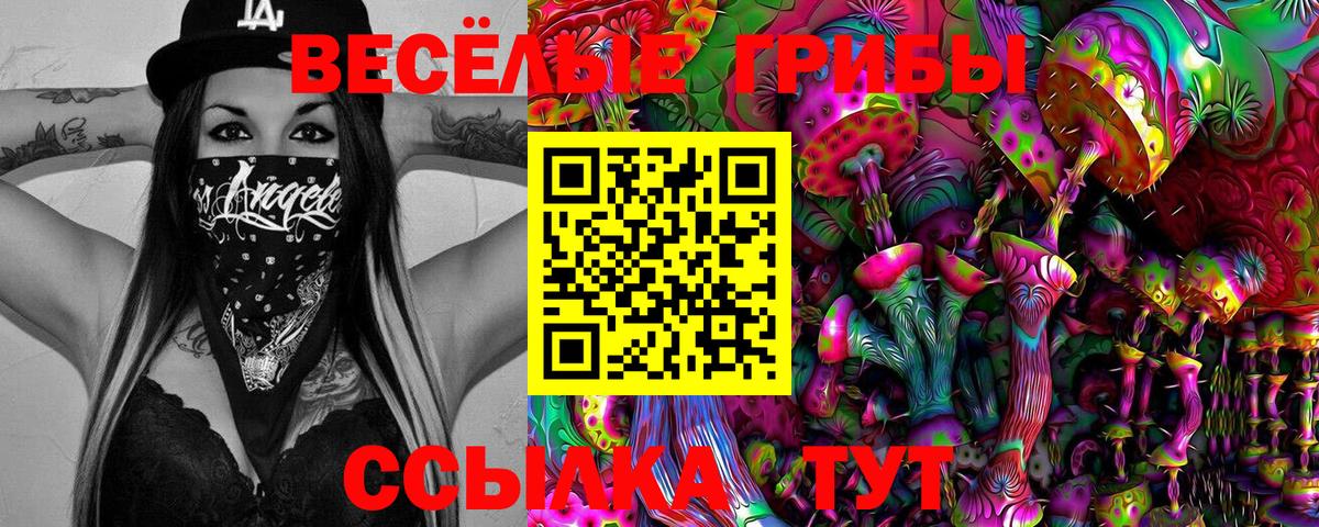 Галлюциногенные грибы прущие грибы  Псилоцибиновые грибы Psilocybe  Сорочинск  Вход с VPN 