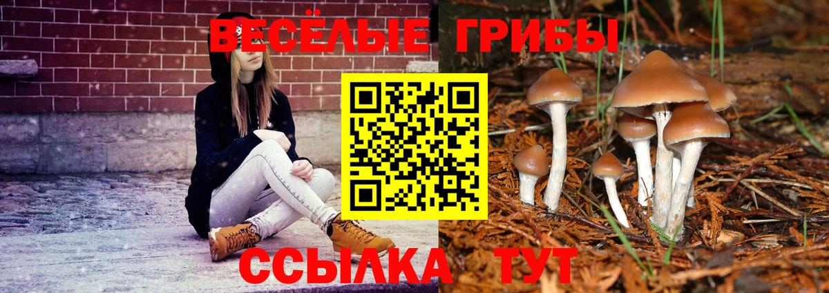 Псилоцибиновые грибы MAGIC MUSHROOMS Сорочинск